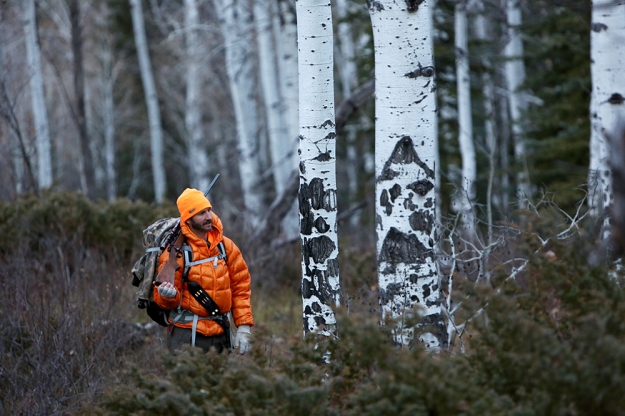 Brian Calvert searches for elk in the West Elks wilderness. This was the first time he has gone out hunting since childhood. 